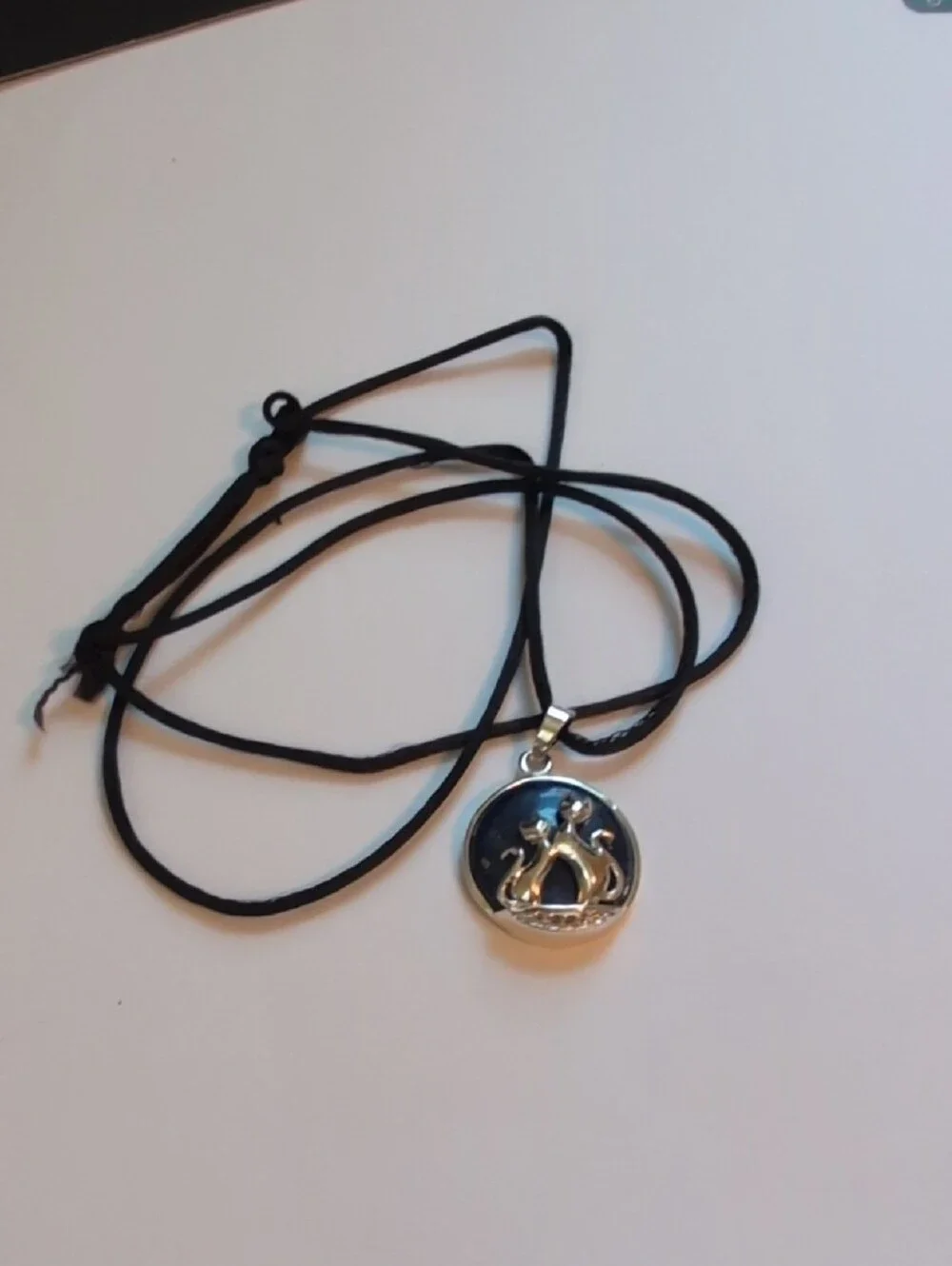Silver Cat Duo Pendant Necklace in Black by